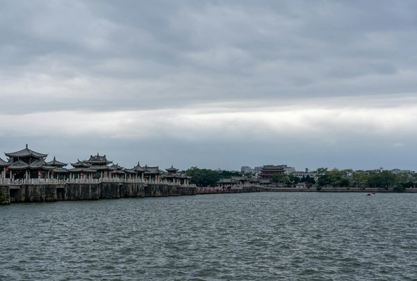 Nutripure avis : une marque de protéines de qualité pour les sportifs