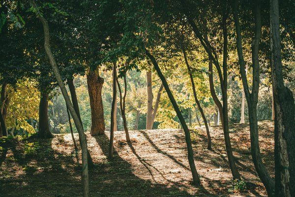Quand l'orthodontie devient une nécessité médicale