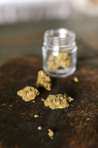 Découvrez les mini buds bio : saveurs et bienfaits à portée de main